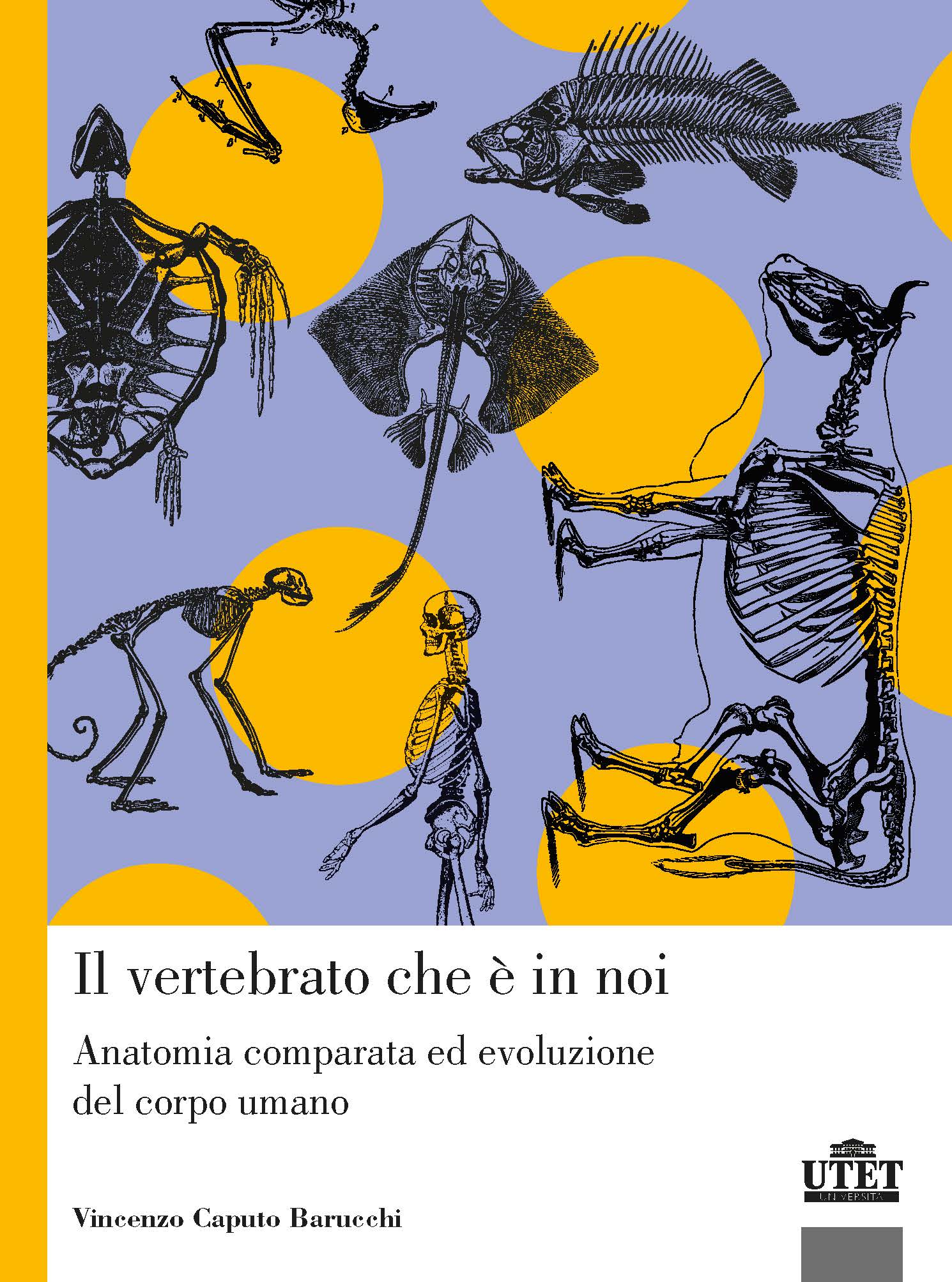Il vertebrato che è in noi